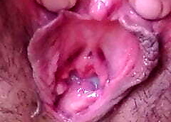 MY WOMAN'S Pussy IS OPEN, Plentiful Prurient CREAM, Babysit for A Lady-love