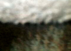 My frend dam pain in the neck