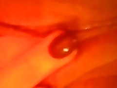 pussy thing