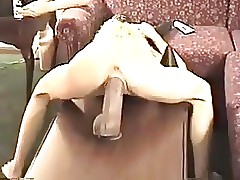 STP7 What A Cunt !