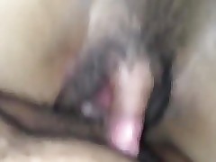 beamy clitores